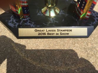 Best in show trophy